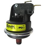 Pentair MasterTemp 175-200 Pressure Switch 